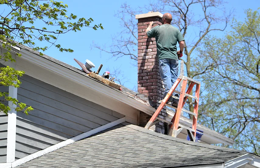 Chimney & Fireplace Inspections Services in Williamstown, NJ